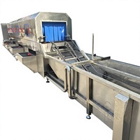 Automatische elektrische wasmachine voor plastic kratten en manden voor groenteverwerkingsbedrijven
