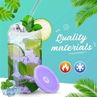 Gobelets isothermes en verre borosilicate de 16 oz pour café glacé avec couvercles en acrylique et pailles, anti-fuite et réutilisables, compatibles lave-vaisselle et micro-ondes