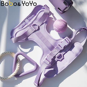 Alta calidad de lujo personalizado ligero nuevo impermeable PVC neopreno mascota gato perro arnés juguetes de goma juego de bolas - Product Image 1