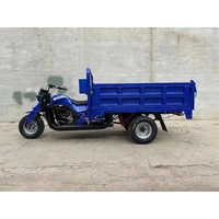Motocicleta Triciclo de Gran Potencia de 300 cc para Agricultura, Triciclo Motorizado Personalizado de 5 Ruedas con Volquete Hidráulico