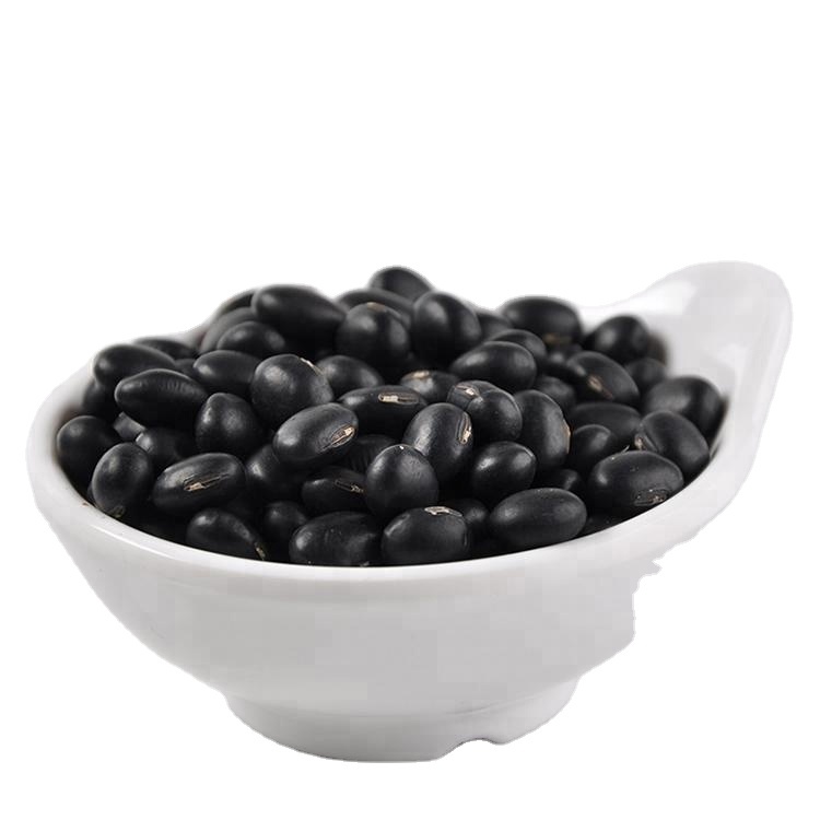 Black Soybeans Rich in Antioxidants and