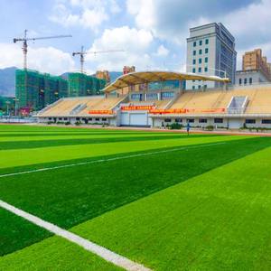 <span class=keywords><strong>Gazon</strong></span> artificiel de haute qualité 30mm 40mm 50mm 60mm Usine <span class=keywords><strong>Prix</strong></span> de gros <span class=keywords><strong>Faux</strong></span> <span class=keywords><strong>gazon</strong></span> synthétique vert Tapis <span class=keywords><strong>gazon</strong></span> de football - Product Image 5