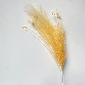 Roseau blanc herbe de paon feux d'artifice aménagement paysager décoration de mariage Arrangements herbe de pampa fleurs artificielles - Product Image 2