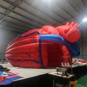 Пользовательские надувные рекламные надувные сердца/гигантская надувная модель человеческого сердца/большое Надувное сердце - Product Image 2