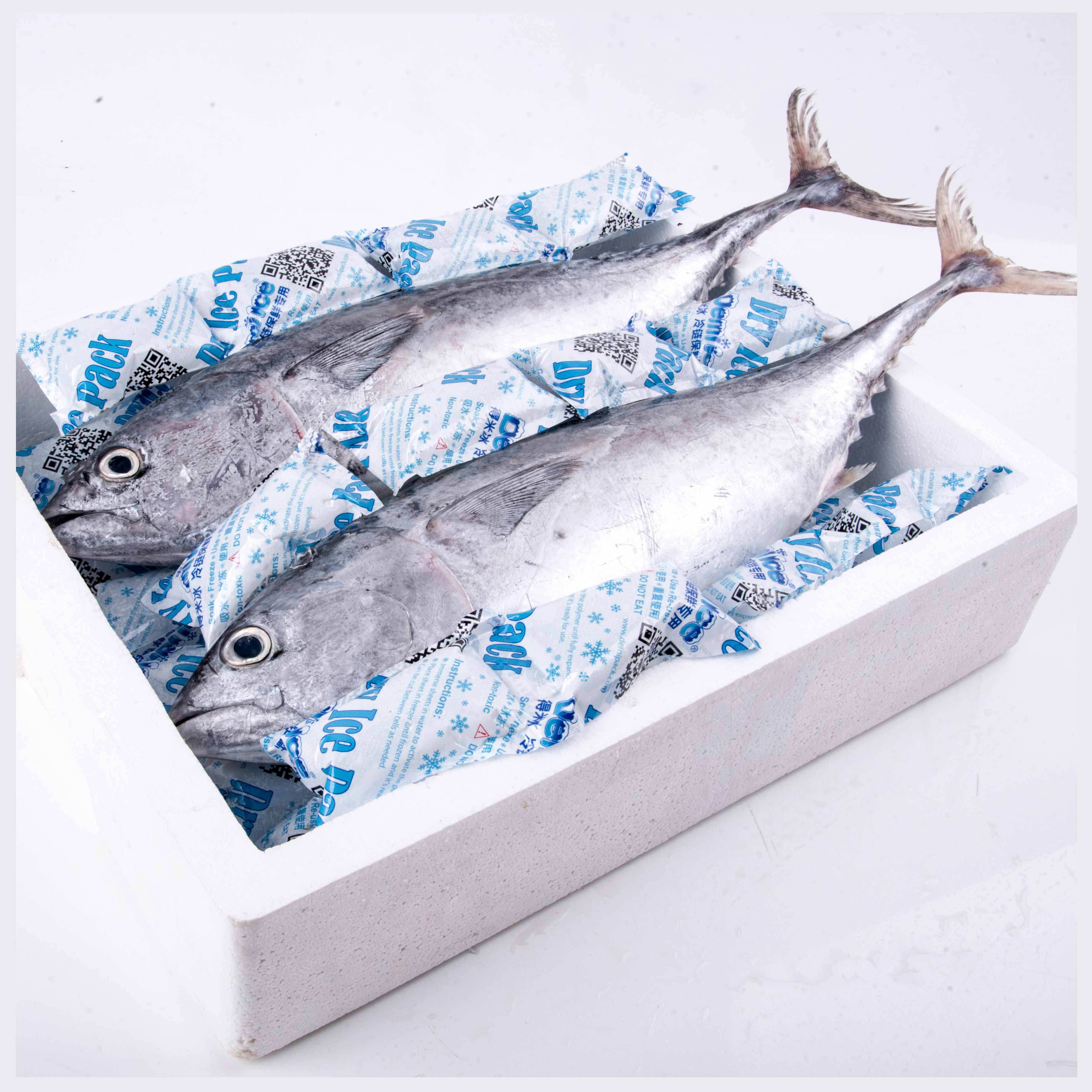 Reusable Injecting Water Ice Pack Gel Bag Insulated Dry Cold Ice Pack Gel Cooler Bag for Food Fresh Ice Packs for Fish