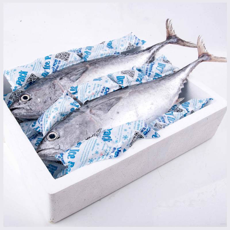 Reusable Injecting Water Ice Pack Gel