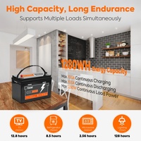 Système de stockage d'énergie solaire portable hors réseau 2KW 230V avec onduleur solaire 2KW et batterie LiFePO4 POW-100AH-12.8V 100Ah 1280Wh