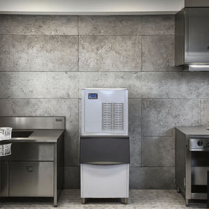 Vendita diretta della fabbrica 200kg per alimenti di mare o ristorante, produttore di fiocchi di ghiaccio in acciaio inossidabile con logo personalizzato - Product Image 6