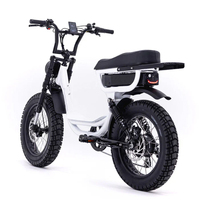 Vélo électrique à pneus gras 48V 20Ah, moteur sans balais 250W, double suspension, cadre en aluminium 20 pouces, porte-bagages arrière, frein à disque hydraulique
