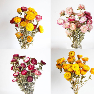 Ramo de Flores Secas Naturales para Boda, 20 Flores Secas Conservadas para <span class=keywords><strong>Funeral</strong></span> Memorial, Suministros Funerarios de Calidad Premium - Product Image 1