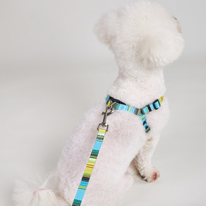 Arnés y Correa para Perro de Nailon con Patrón Geométrico, Cierre de Hebilla Ajustable, Tamaño Mediano para Perros - Product Image 5