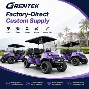 Carrito de Golf Eléctrico de Alto Rendimiento con Batería de Litio Personalizable, Precio de Fábrica, Buggy para Uso en Carreteras No Públicas - Product Image 4