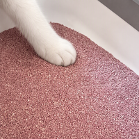 Litière pour chat en bentonite de sodium rose de haute qualité, ultra faible teneur en poussière, absorption puissante, élimination des odeurs, agglomération rigide, argile minérale
