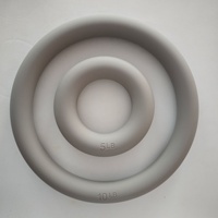 Anneau lesté en fonte de fer et silicone, couleur personnalisée, 5 lb et 10 lb, écologique, durable, pour femmes et hommes, entraînement de force, Pilates, corps