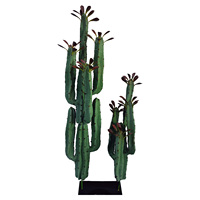 Plantation de printemps arbre Cactus pilier immortel sans épine roue céleste pilier combinaison plante en pot vieux tas succulent