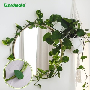 Lot de 50 attaches murales en PP pour plantes grimpantes, clips en forme de feuille vertes pour tomates et plantes rampantes - Product Image 4