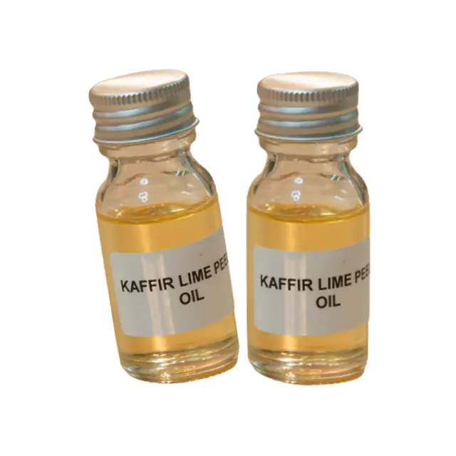 Ätherisches Öl Kaffir Lime Leave Oil Ätherisches Öl Größe 10 ML Spa Produkt Duft Premium Kräuter dose in der Hautpflege hinzugefügt