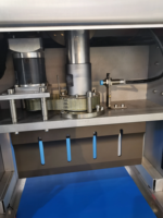 Machine de découpe automatique à ultrasons Wanlisonic pour nougat et barres de cacahuètes