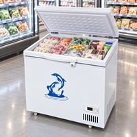 Congélateur coffre 100L, congélateur profond blanc, porte simple, thermostat réglable, OEM ODM, vente en gros pour les supermarchés