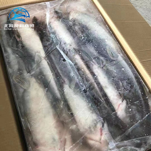 Bagre Entero Fresco o Congelado de Alta Calidad a <span class=keywords><strong>Precio</strong></span> de Mayoreo para la Venta - Product Image 4