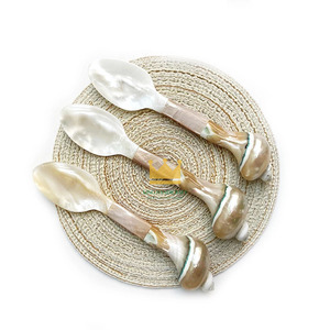 Cuillère à caviar en nacre naturelle moderne et écologique de 16x3,5 cm, idéale pour les mariages, les outils de cuisine pour la crème glacée, en provenance du Vietnam - Product Image 2