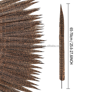 Plumas Laterales de Cola de Faisán Dorado Natural de 60cm YOLAN Atuendo Sexy de Carnaval para Bodas Fiestas Patrón Crudo Veterinario - Product Image 2
