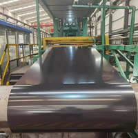 Bobine d'acier galvanisé prépeint PPGI DX51D ASTM A653 pour la construction de toitures de logements ruraux et d'entrepôts agricoles au Kenya