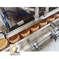 Machine de remplissage automatique MTW pour pâtes épaisses, liquides alimentaires et beurre de cacahuète, avec pompe à lobes rotative