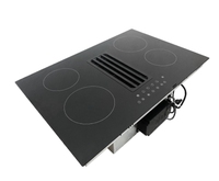 Cuisinière à induction intégrée OEM petits appareils de cuisine avec hotte
