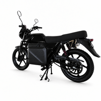 Hot Selling Long Range 85Km/h High Speed Powerful Adult Electric Motorbike for Daily Urban Commuter Travel