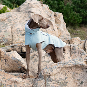 Chaqueta <span class=keywords><strong>Impermeable</strong></span> para Mascotas, Estilo Nuevo, Cómoda, Deportiva, con Diseños Elegantes para Perros, Chaleco de Lujo para Dachshunds - Product Image 1