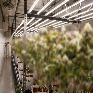 Climate Regulated Aeroponic <b>Growing</b> Container HDPE Enclosure Full Spectrum LED Automated <b>Plant</b> Cultivation Unit - Product Image 3