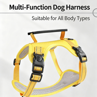 Harnais de poitrion réfléchissant pour chien avec laisse de traction antichoc et anti-évasion, pour chiens de grande, moyenne et petite taille