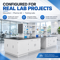 Meja Laboratorium Baja Kustom dengan Rak Reagen, Wastafel, dan Modul Daya untuk Proyek Laboratorium