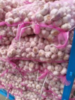 Hete Aanbieding Topkwaliteit Verse Knoflook Normale Witte Knoflook Klaar voor Export