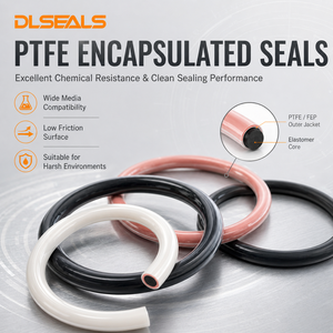 O-Ring Incapsulato in FEP PTFE con Anello in FKM, Resistente agli Agenti Chimici, per Valvole di Pompe, OEM ODM, Misure Personalizzate, Fornitura di Fabbrica - Product Image 2