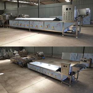 Gıda İşleme Haşlama Hattı |   Otomatik Sebze ve Meyve Renk Sabitleme ve Ön Pişirme Ekipmanı - Product Image 3