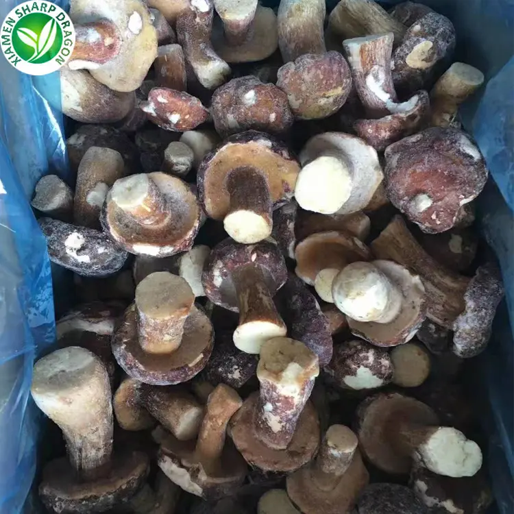 IQF Porcini mushrooms frozen boletus edulis