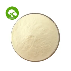 Wholesale Price Food Grade Yellow Dextrin Powder