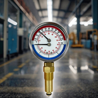 Jauge de température AKS OEM 2.5 "personnalisable, construction entièrement en acier, pour l'industrie alimentaire et chimique