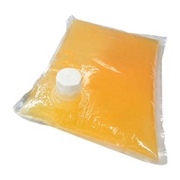 Sac de voyage personnalisé grande capacité 3L 5L 10L pour café, vin, jus, eau, boissons, avec robinet, aseptique, logo personnalisé