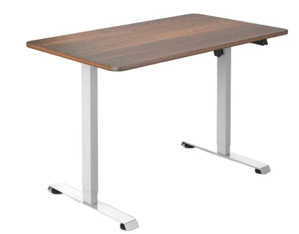 Economic Particleboard and Steel and Plastic Single Motor 2 Stages Legs Electric Desk With Wood Desk Top