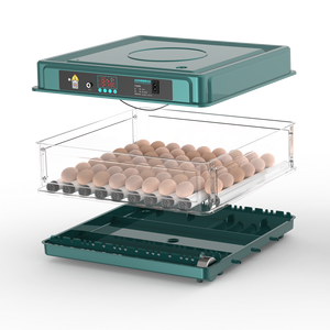 <span class=keywords><strong>Incubatrice</strong></span> per <span class=keywords><strong>uova</strong></span> completamente automatica di piccola capacità - Product Image 3
