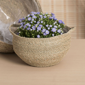 Hand Woven Seagrass <b>Basket</b> Round <b>Storage</b> <b>Basket</b> For Home Office Hotel Decor Degradable And Corrosion Resistant - Product Image 1