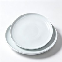 Assiette Ronde en Porcelaine à Bord Fin, Portable, Compatible Lave-Vaisselle, Idéale pour Hôtels, Restaurants, Traiteurs, Service de Steaks et Salades, Vente en Gros
