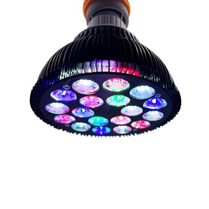 <span class=keywords><strong>Ampoule</strong></span> <span class=keywords><strong>LED</strong></span> RGBW à spectre complet bleu/UV PAR38 54W <span class=keywords><strong>pour</strong></span> <span class=keywords><strong>aquarium</strong></span>, récif corallien, eau salée - Product Image 1
