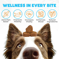 Complément Multifonctionnel Pevet pour Chiens – Suppléments Nutritionnels pour Animaux, Soutien Articulaire, Vitamines pour Chiens, Produits à Marque Blanche