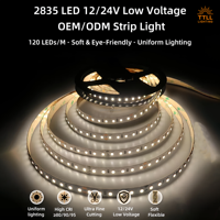 Bande lumineuse LED intelligente RGB RGBW OEM, étanche IP65, tension DC24V, 480 LED/m avec télécommande pour usage extérieur
