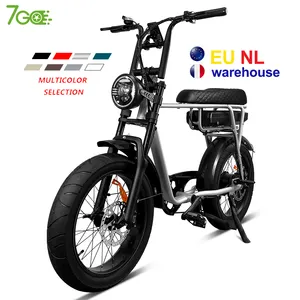 7Go EB4 EB2 iyi fiyat e-bisiklet retro tasarım 20 inç elektrikli bisiklet 12.5Ah pil 500w/750w yağ lastik elektrikli bisiklet