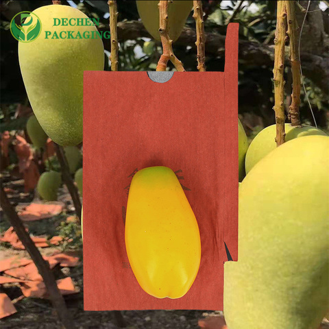 Fruit Bagging Manufacturers with Custom Mango Paper Bag - Expert & Customizable Fruit Bagging Manufacturers with Custom Mango Paper Bag - Expert & Customizable